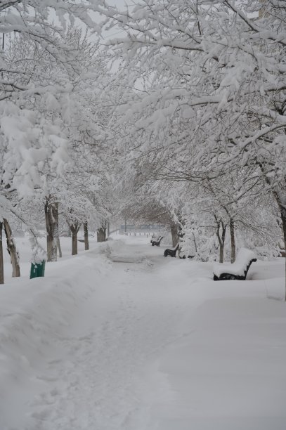 雪道原始素材图片下载