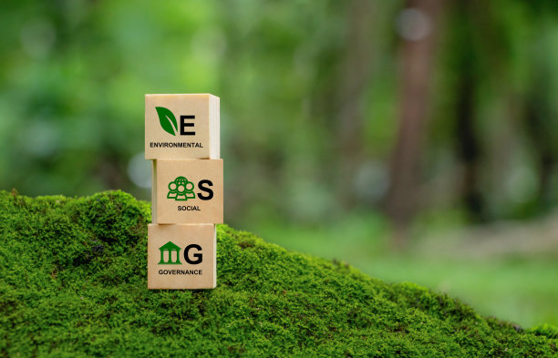 环境、社会和治理的ESG概念。美丽的绿色背景上的木版上的ESG字样，是组织可持续发展的理念。世界环境日图片下载