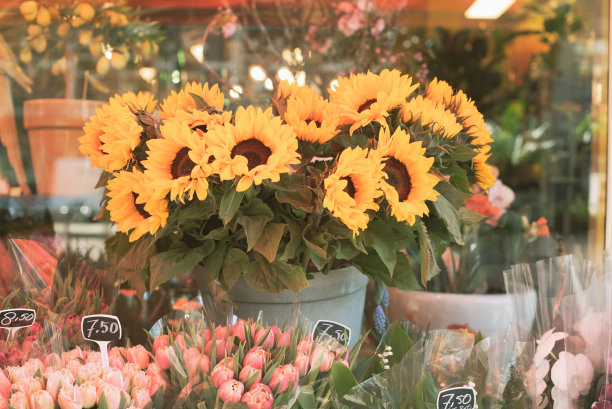 市场里的花店图片下载