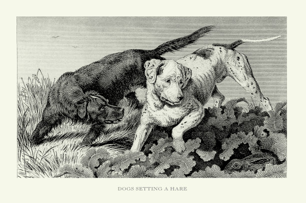 古董雕刻，猎狗得到野兔雕刻插图图片下载