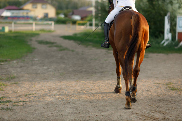 女骑手骑师戴头盔和白色制服准备赛马与复印空间。图片下载