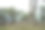 树木的根部与印度尼西亚西爪哇Cianjur的Gunung Padang巨石遗址区合并图片下载