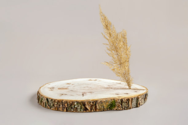 带有树皮的木制讲台。实木板。空圆自然形态。采购产品底座展示产品，生态有机化妆品，珠宝。新潮的极简风格模拟演示。中性工作室背景。3d图片下载