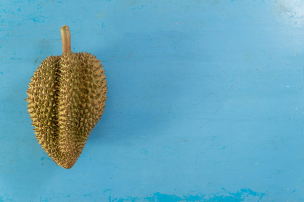 成熟的榴莲果:蓝色木桌上的异国美食-热带美食摄影图片下载