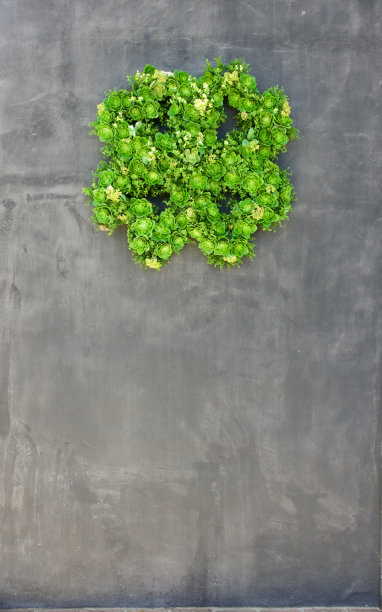 白垩的黑板外墙上缀着鲜绿色的三叶草图片下载