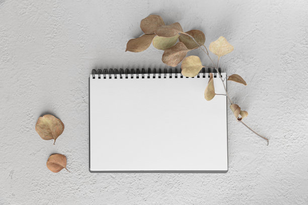 空白日记，记事本模型和干桉树树枝图片下载
