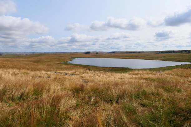位于法国洛桑省奥布拉克高原上的圣安德莱姆湖图片下载