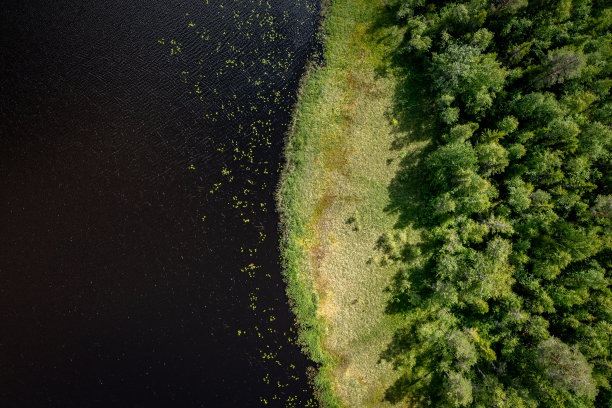 芬兰夏季，无人机从森林和湖岸的角度拍摄图片下载