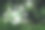 环境、社会和治理的概念。水晶地球上的苔藓与自然背景。ESG代表环境、社会和治理，世界可持续环境概念。图片下载