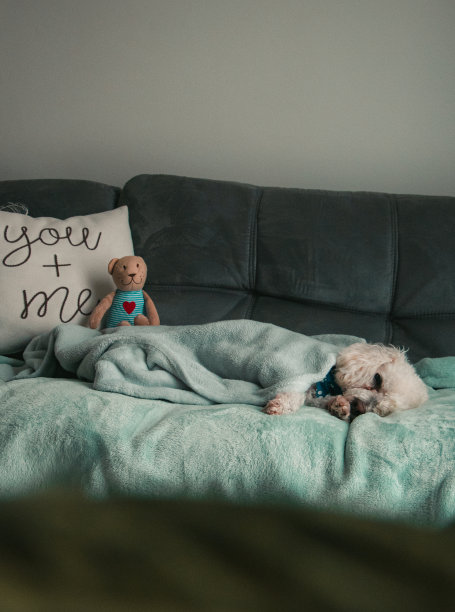 不要找借口图片下载