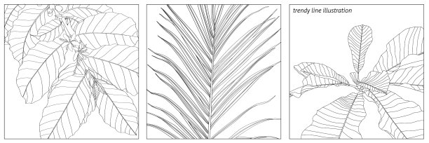 植物标志质朴时髦的绿色棕榈叶图片下载