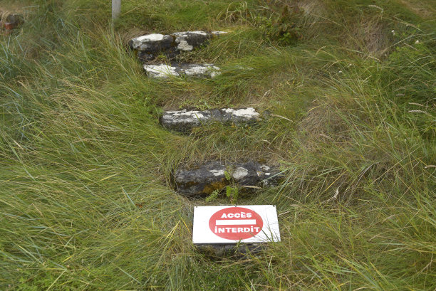 迪纳德-楼梯-禁止图片下载