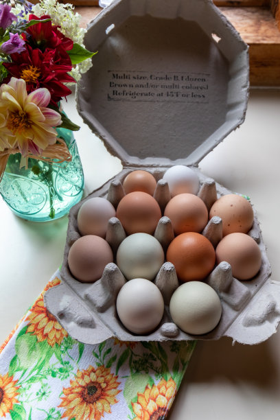 农场新鲜的自由放养有机彩虹鸡鸡蛋在独特的八角形可回收容器顶部视图显示图片下载