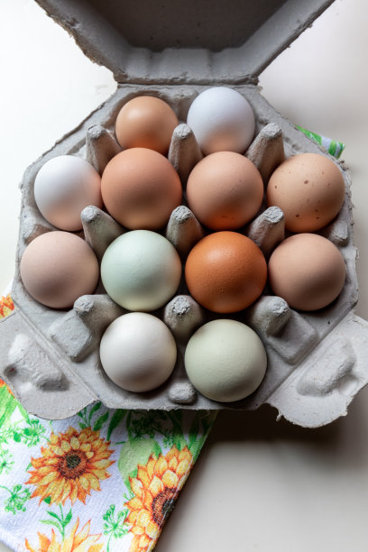 农场新鲜的自由放养有机彩虹鸡鸡蛋在独特的八角形可回收容器顶部视图显示图片下载