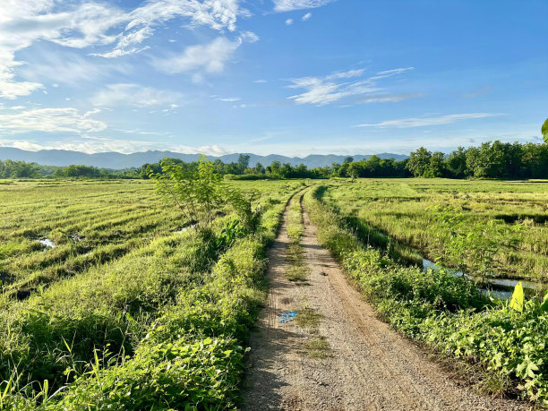 田野里的一条土路的照片，上面有一个标志，迷宫形状的土路，草地和小溪。图片下载