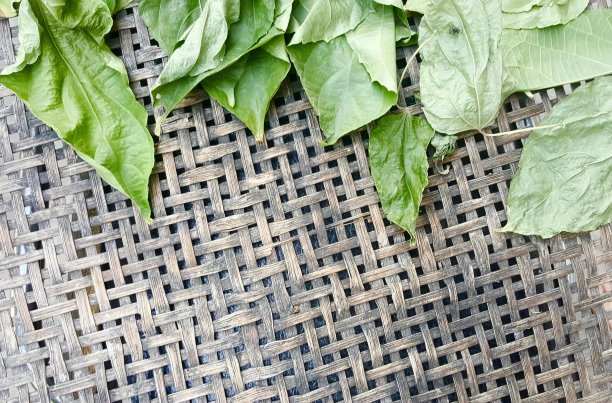 一束绿叶在织成的桌子上的照片，桌子上的欢迎垫上有新鲜的绿叶。图片下载