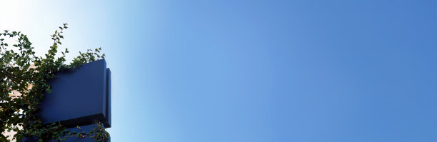 模拟空白的空白空间的黑色招牌为商店或餐馆或咖啡馆或公司在墙上与常春藤围绕，广告牌，模板，黑板图片下载