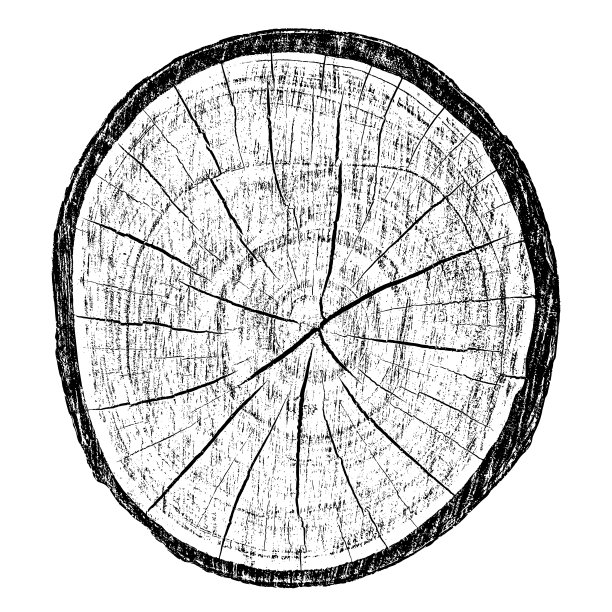 木材纹理图片下载
