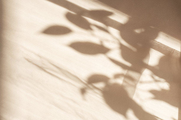 热带树叶阴影空白背景组成的产品介绍。背景是米色的。工作室最小展示图片下载