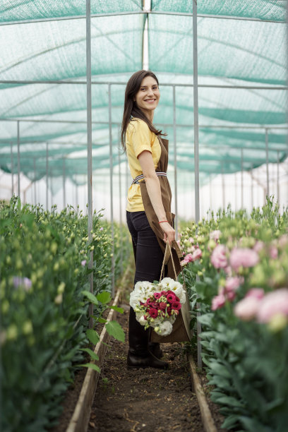 种花的生意，女人走过绿房看收成。图片下载