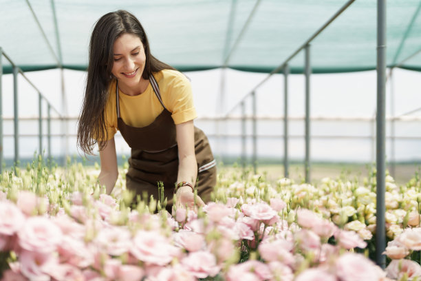 一个在温室里种花的漂亮女人图片下载