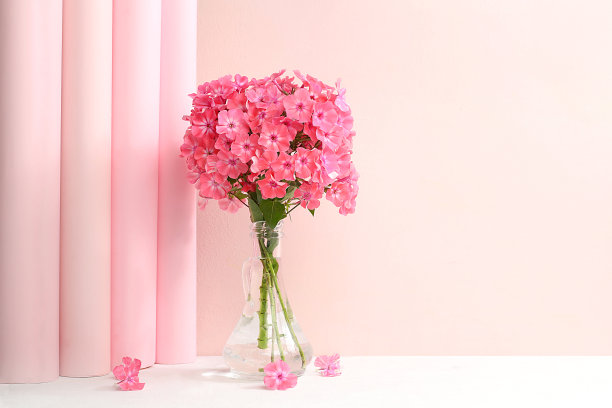 家居室内装饰元素，美丽的夹竹桃花在花瓶上的浅色背景，抽象的花卉组成，静物与文字的地方，图片下载