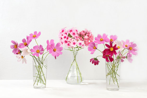 抽象花卉构图。美丽的洋甘菊花和夹竹桃在花瓶上的浅色背景，家庭室内装饰元素，静物与文字的地方，图片下载