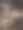 草地上的野花——暖色——一张浪漫的照片图片下载
