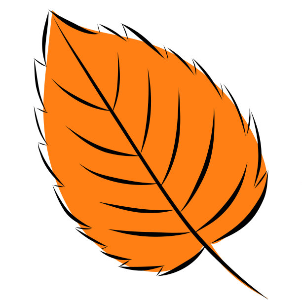 五颜六色的秋叶。简单的卡通平面风格。孤立的白色背景矢量插图。图片下载