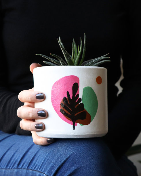 女性手中多肉锅的垂直照片图片下载