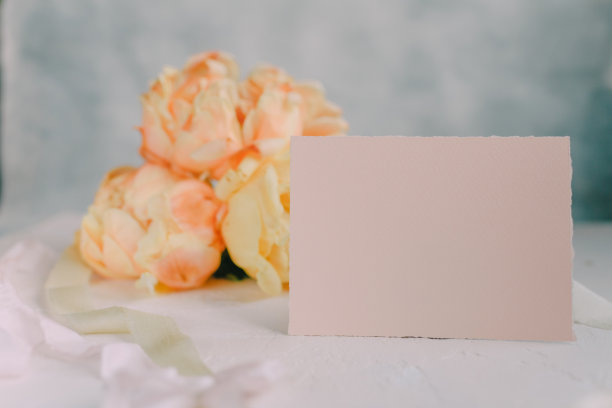 以牡丹为背景的明信片模型图片下载