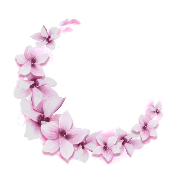 花圆形框架水彩粉色木兰花花蕾手绘插图白色背景图片下载