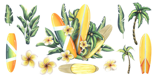 冲浪板是黄色的，上面有橙色和白色的条纹，上面有热带树叶和椰子树、鸡蛋花。水彩插图手绘。白色背景上的一组孤立元素。图片下载