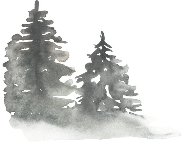 水彩林地插图，森林树木和雾背景剪贴画。卡片邀请设计与森林树木。绿树镶边，冷杉自然印染图片下载