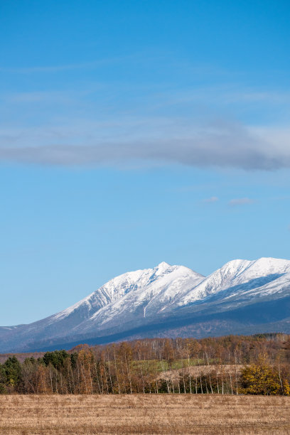 雪山和秋天的森林图片下载