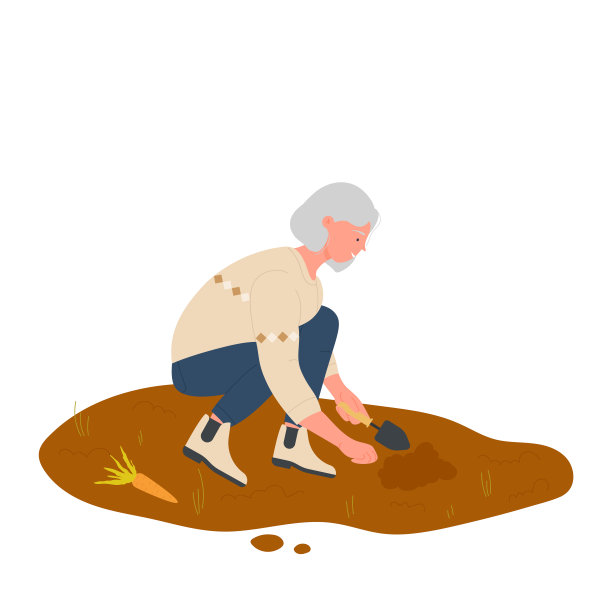 农妇正在收获生物胡萝卜图片下载