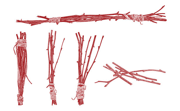 一捆捆用拉菲叶包裹的小树枝图片下载