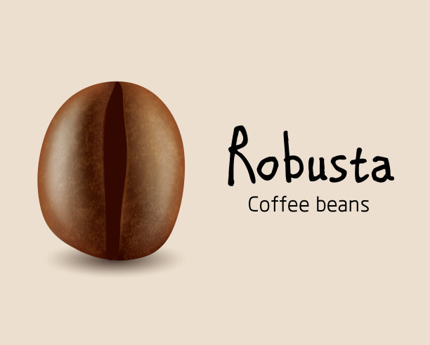 罗布斯塔咖啡豆图片下载