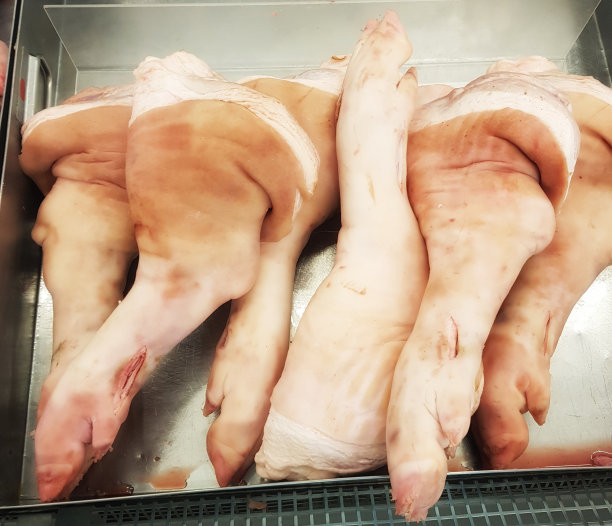 照片生猪肉蹄隔离在白色背景新鲜猪腿图片下载