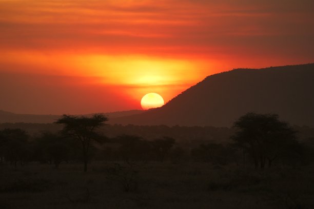非洲画布:日落时分的塞伦盖蒂图片下载