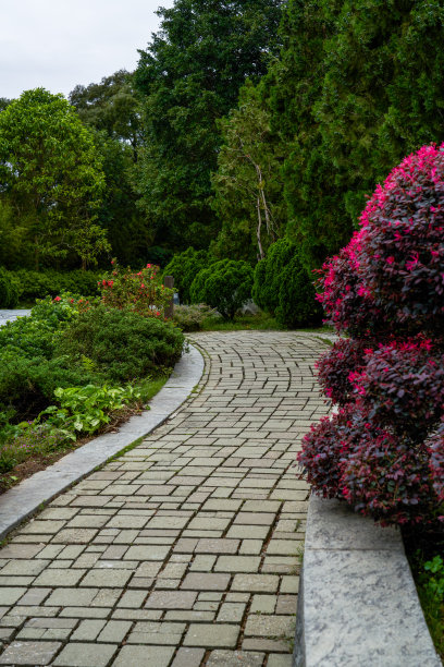 香港慈山寺日式花园内的休闲径图片下载