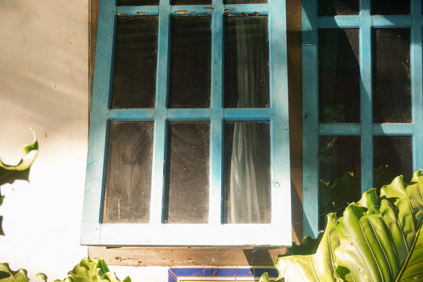 现代家庭花园构图的股票照片充满了许多美丽的植物。时尚的植物内饰。家庭园艺概念。图片下载