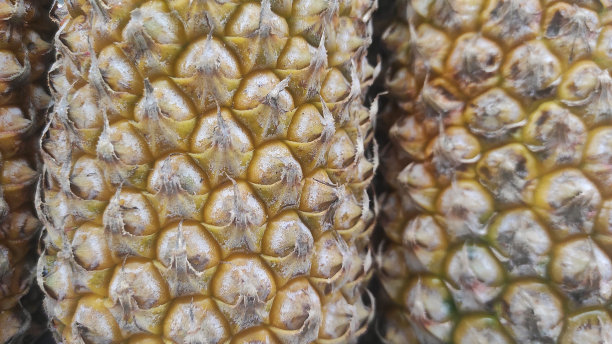 超市货架上展示的新鲜热带水果菠萝的特写照片图片下载