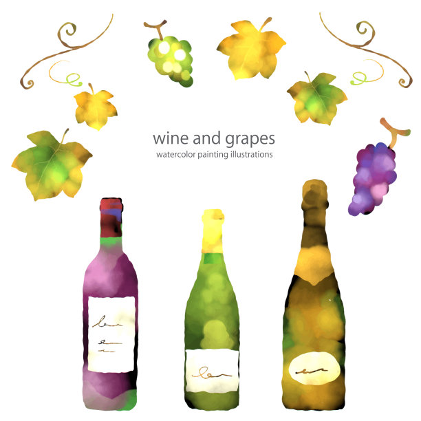 酒和葡萄，水彩画图片下载