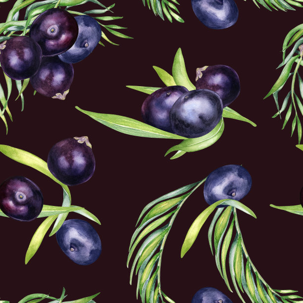 巴西莓和棕榈叶水彩无缝图案隔离上暗。奇异的亚马逊小紫色浆果，热带水果手绘。包装、包装、纺织品、背景、纸张设计图片下载