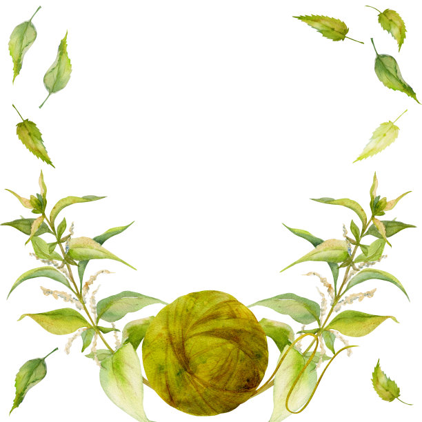 手绘水彩画荨麻着色天然植物染料，材质为爱好，手工织布。插图孤立方形框架，白色背景。商店标志，印刷品，网站，名片，小册子图片下载