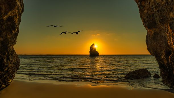 一幅太阳从海滩上落下，鸟儿在空中飞翔的照片图片下载