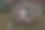 穿着灰色运动衫的年轻印度男子在野外冥想时练习瑜伽，伸展双臂——人们在户外冥想的照片。图片下载