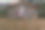 一名穿着灰色运动衫的年轻印度男子一边练习瑜伽，一边伸展双臂，一边在石头遮蔽处冥想——人们在户外冥想的照片。图片下载