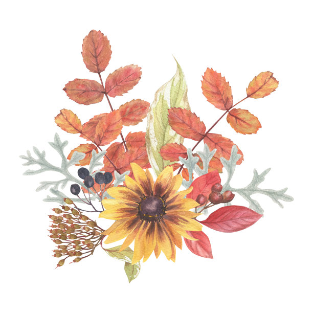 明亮的植物元素组成。秋天的花，浆果和叶子水彩画在复古风格。图片下载